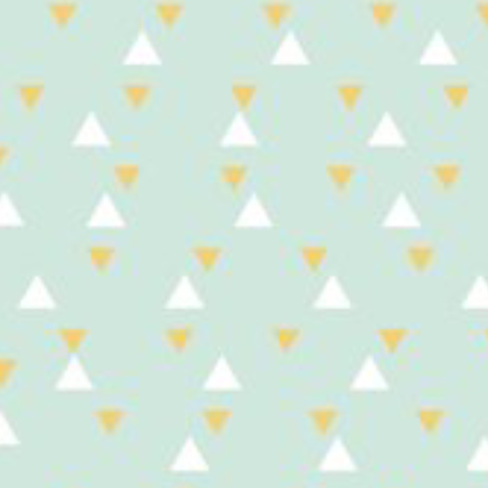 Meet your Posher, Aleena